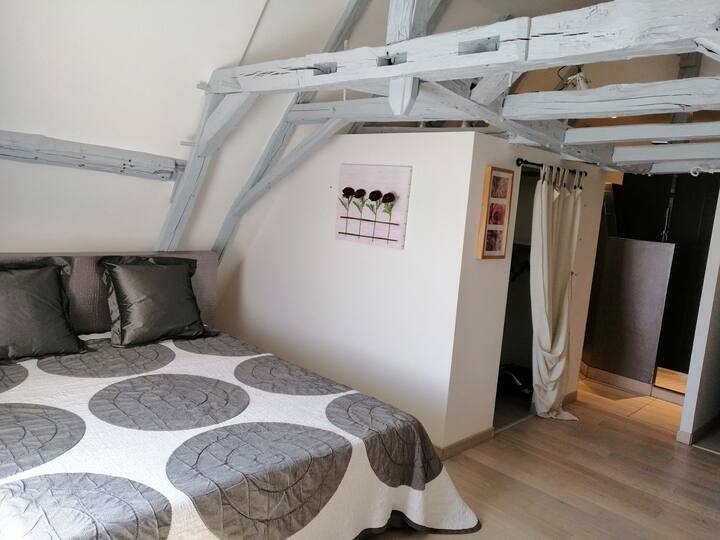 Bedroom 4 upstairs with shower and toilet