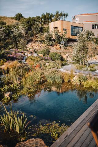 The Sentinel Cabin, Cyphia Close Cabins, Hout Bay gallery image 5