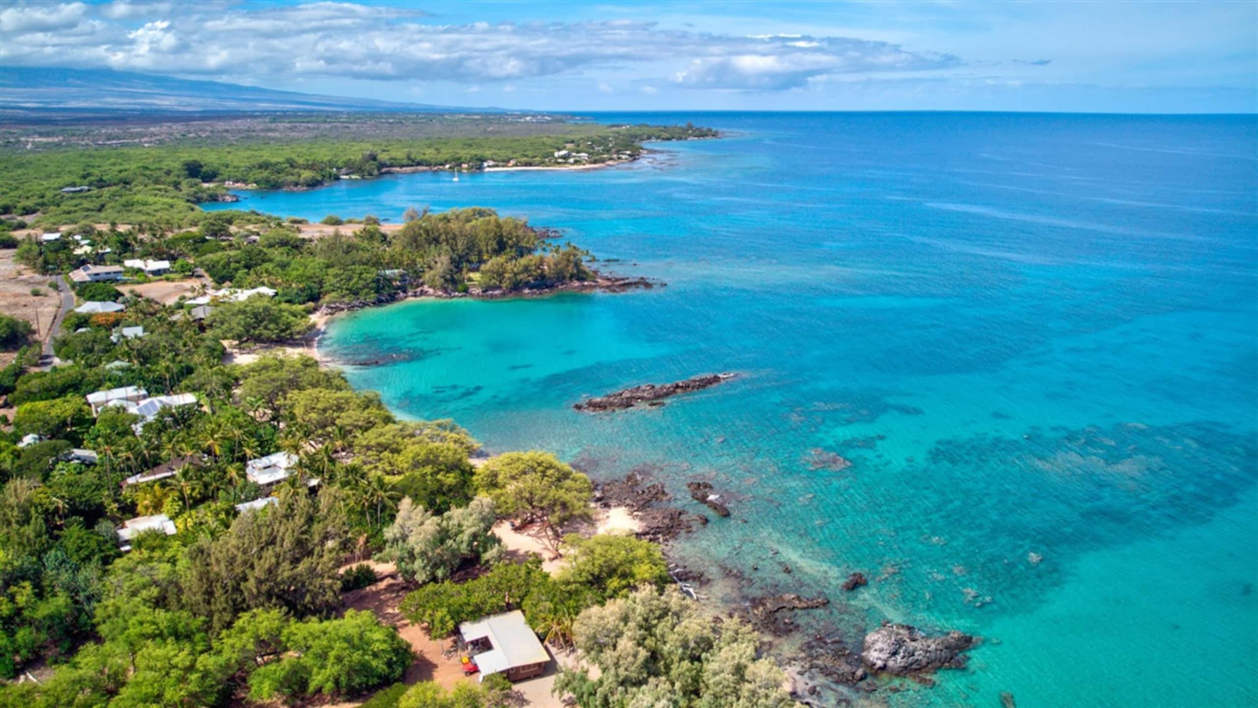 Home in Waimea · ★4.9 · 5 bedrooms · 7 beds · 3.5 baths - Image 41