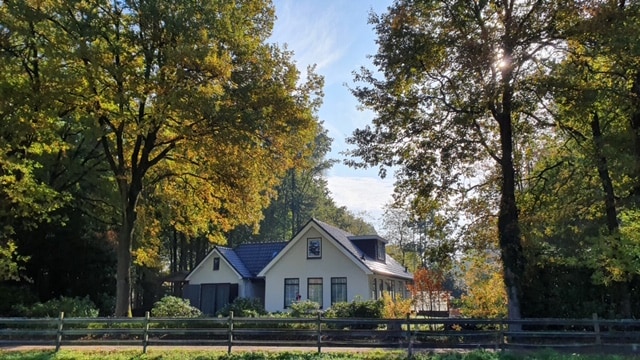 A charming nature house is visible amidst tall trees, with a sloped roof and large windows. Surrounding foliage displays vibrant autumn colors, while a wooden fence frames the scene. Sunlight filters through the branches, illuminating the peaceful outdoor setting.