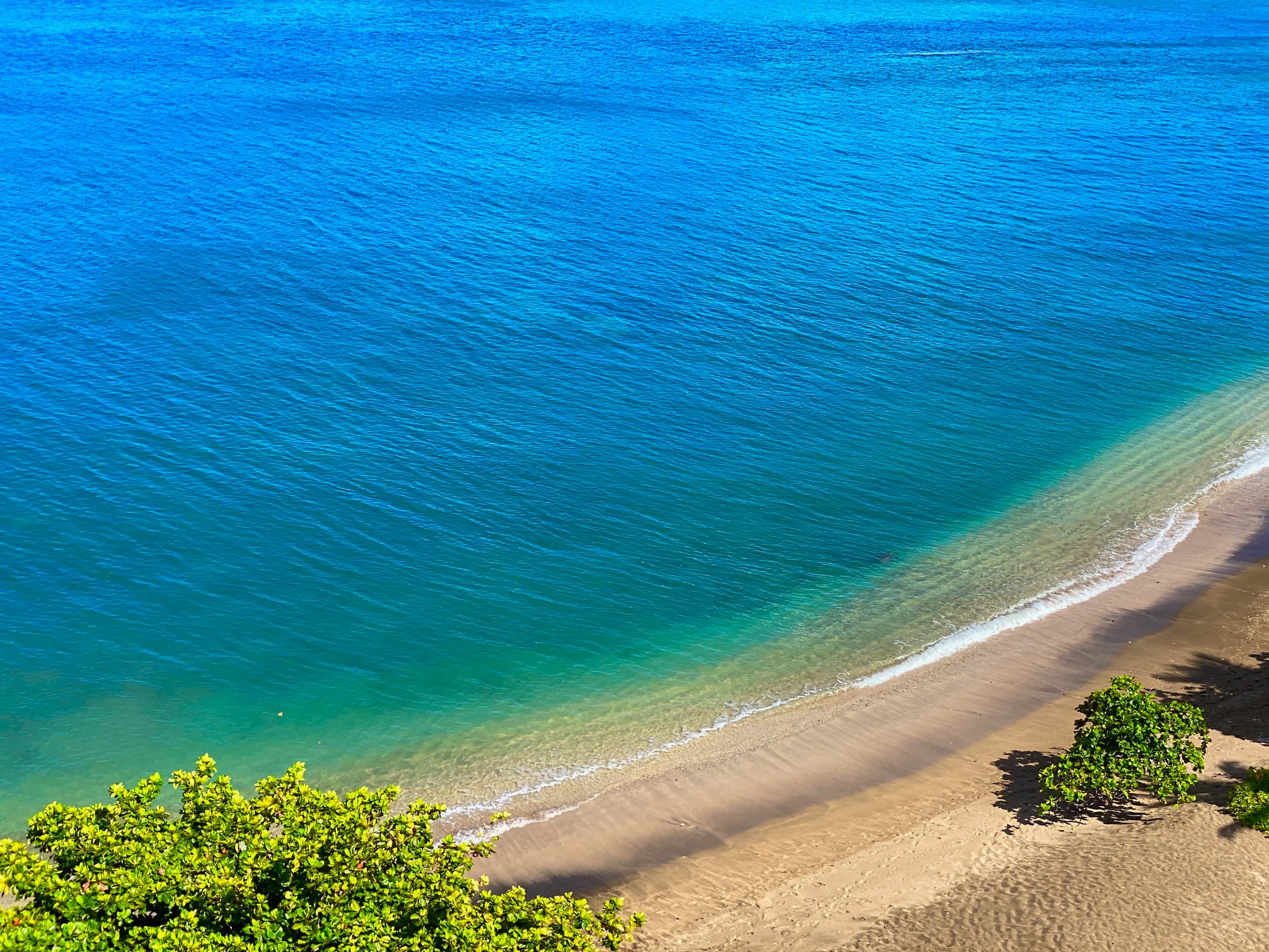 Condo in Lahaina · ★4.82 · 3 bedrooms · 8 beds · 3 private baths - Image 3