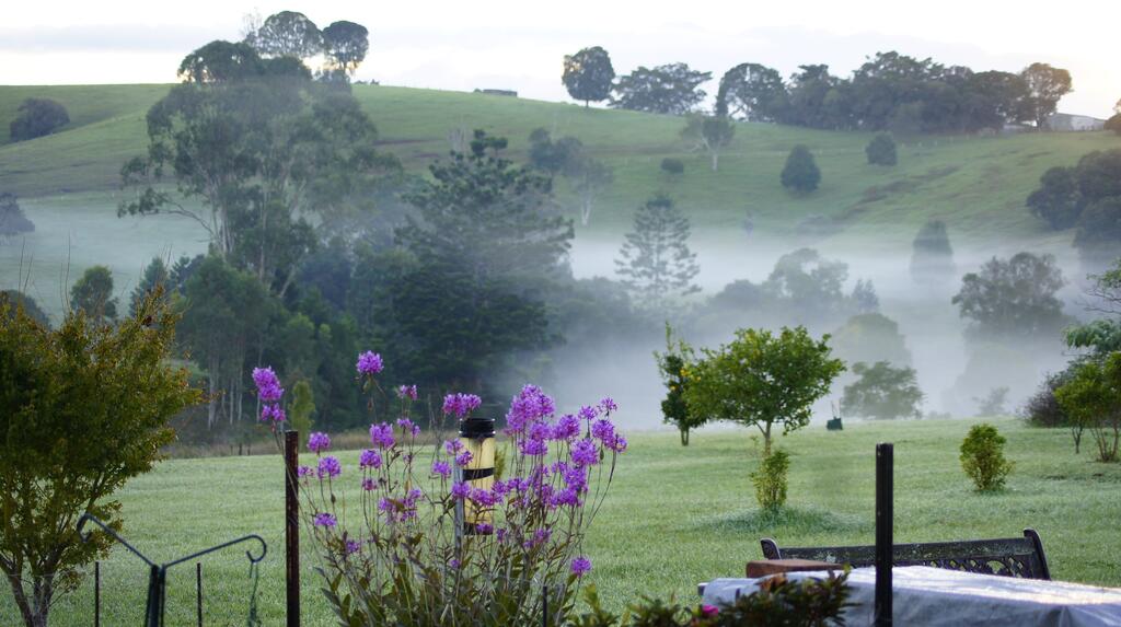 A serene landscape features lush green hills and a low-lying mist, with vibrant purple flowers in the foreground. Trees dot the hillsides, creating a peaceful natural setting.