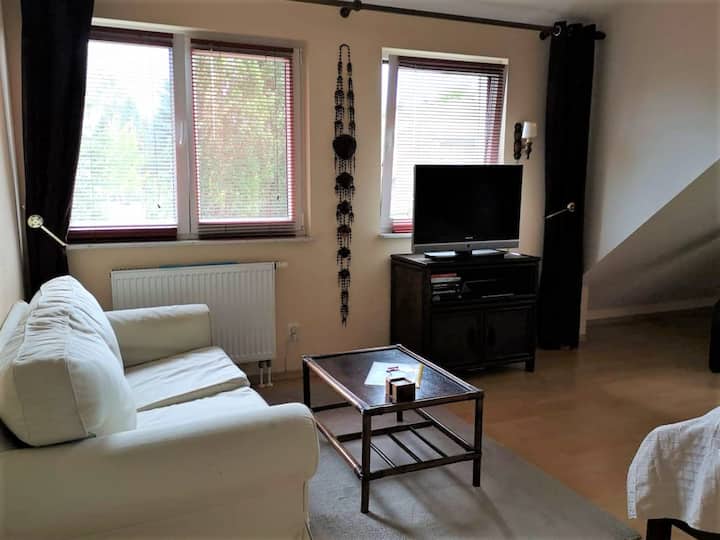 The room has 3 French swing tilt windows, all equipped with mosquito nets. 