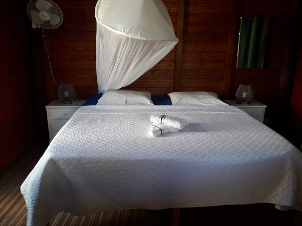 A spacious bed is positioned in the center of the room, featuring a light-colored coverlet. Two white pillows are arranged at the head, and a mosquito net hangs gracefully above. Soft lighting is provided by two bedside lamps, while natural wood panels create a warm ambiance.