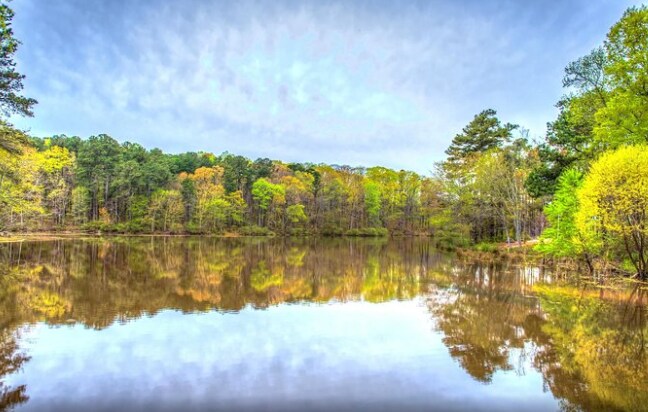 The tranquil lake is surrounded by lush greenery, with trees reflecting in the still water. A soft blue sky with wispy clouds adds to the peaceful setting, creating a serene natural atmosphere.