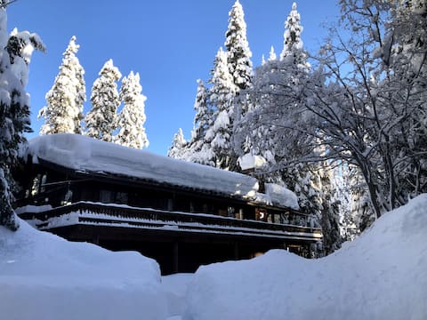 Top Airbnb: "Homewood Hideaway" 1 Bedroom Flat in Tahoma