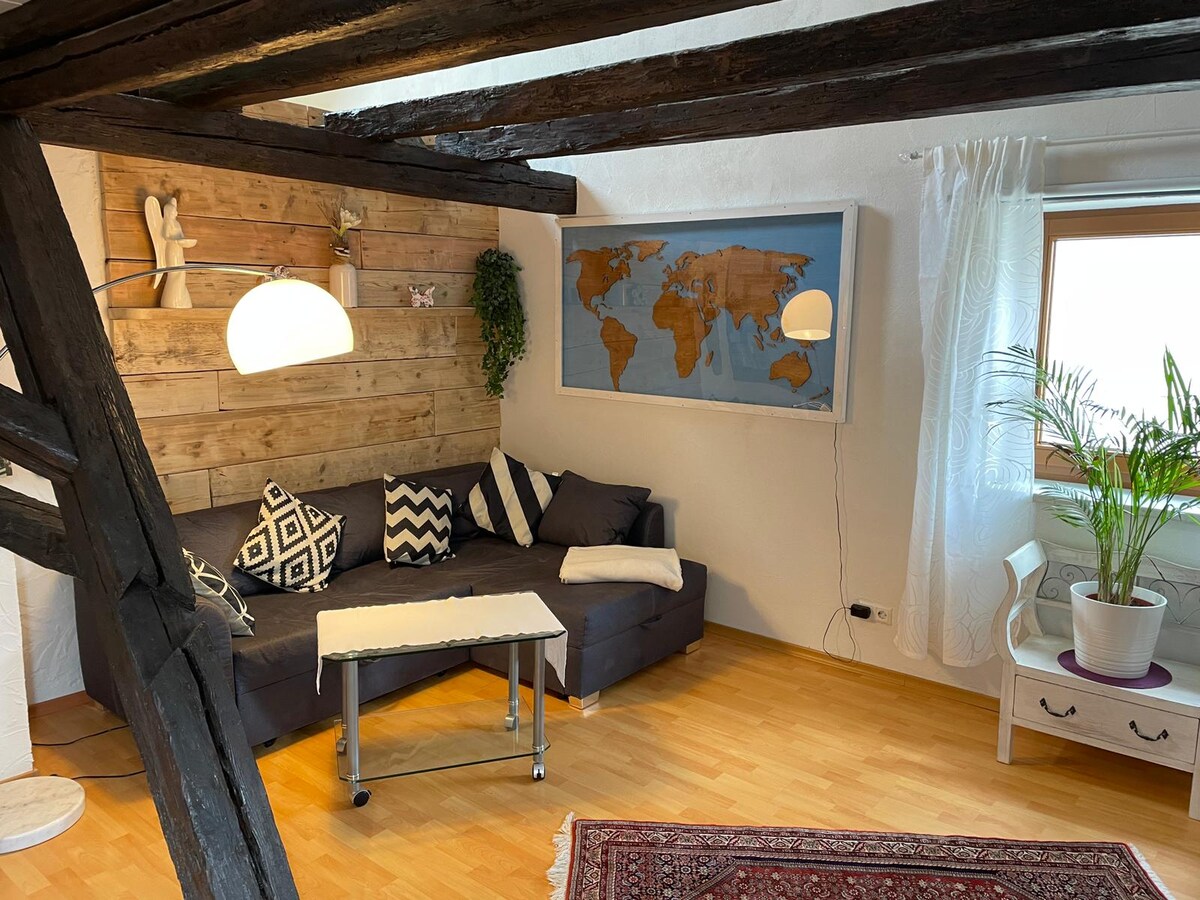 Top Airbnb: Fantastic duplex apartment in the Black Forest a Freudenstadt