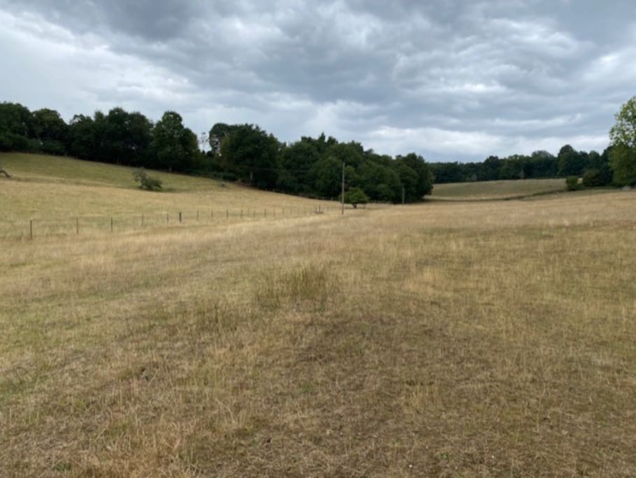 Wild Camping In Private Field In Surrey Hills Campsites For Rent In Bramley England United Kingdom