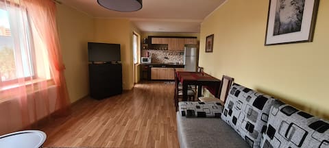 Spacious apartment I