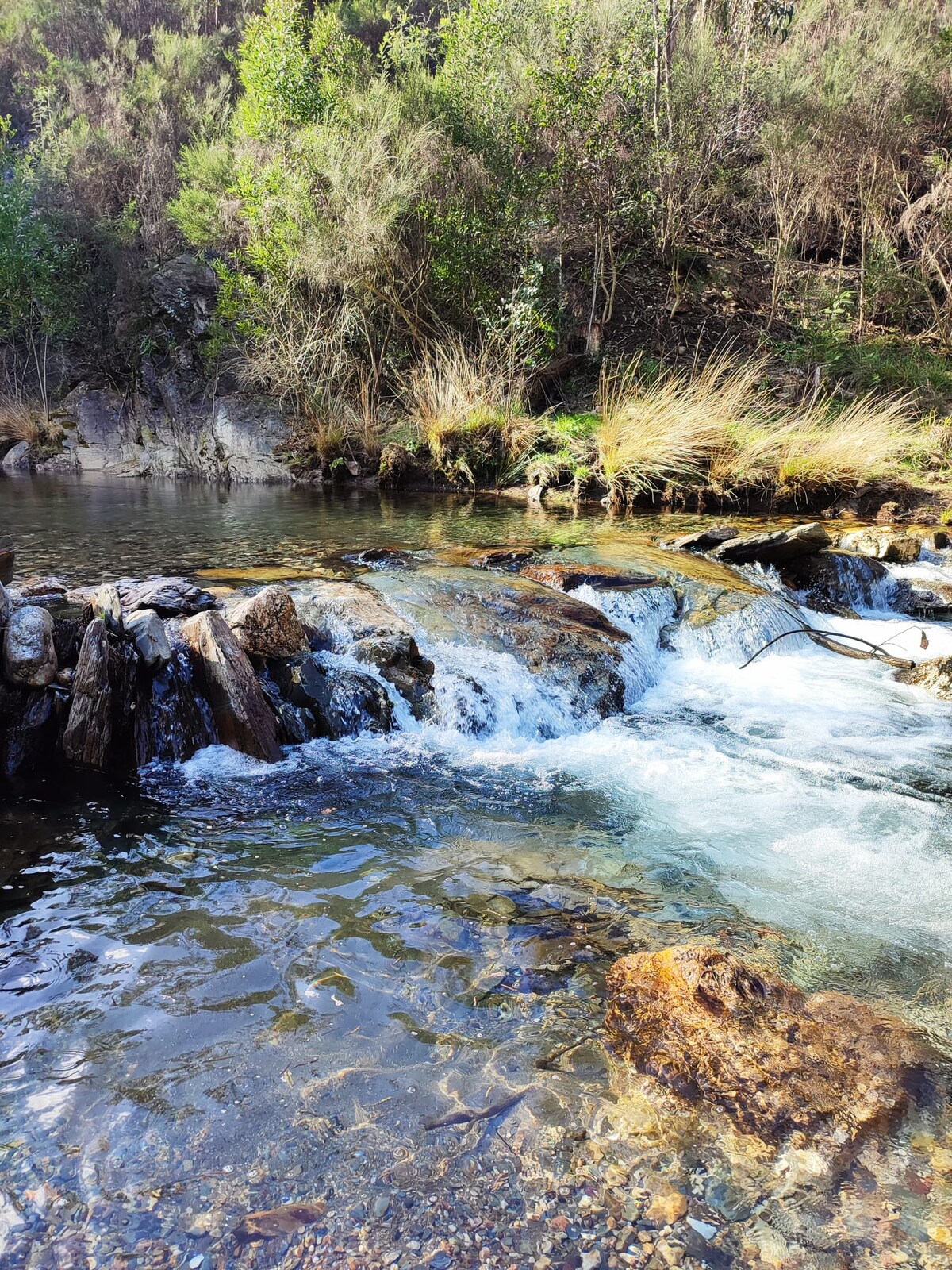 A clear, flowing river is visible, with gentle rapids cascading over smooth stones. Edges of the water are lined with lush green vegetation, while the rocky riverbed can be seen beneath the transparent water, reflecting light from above.