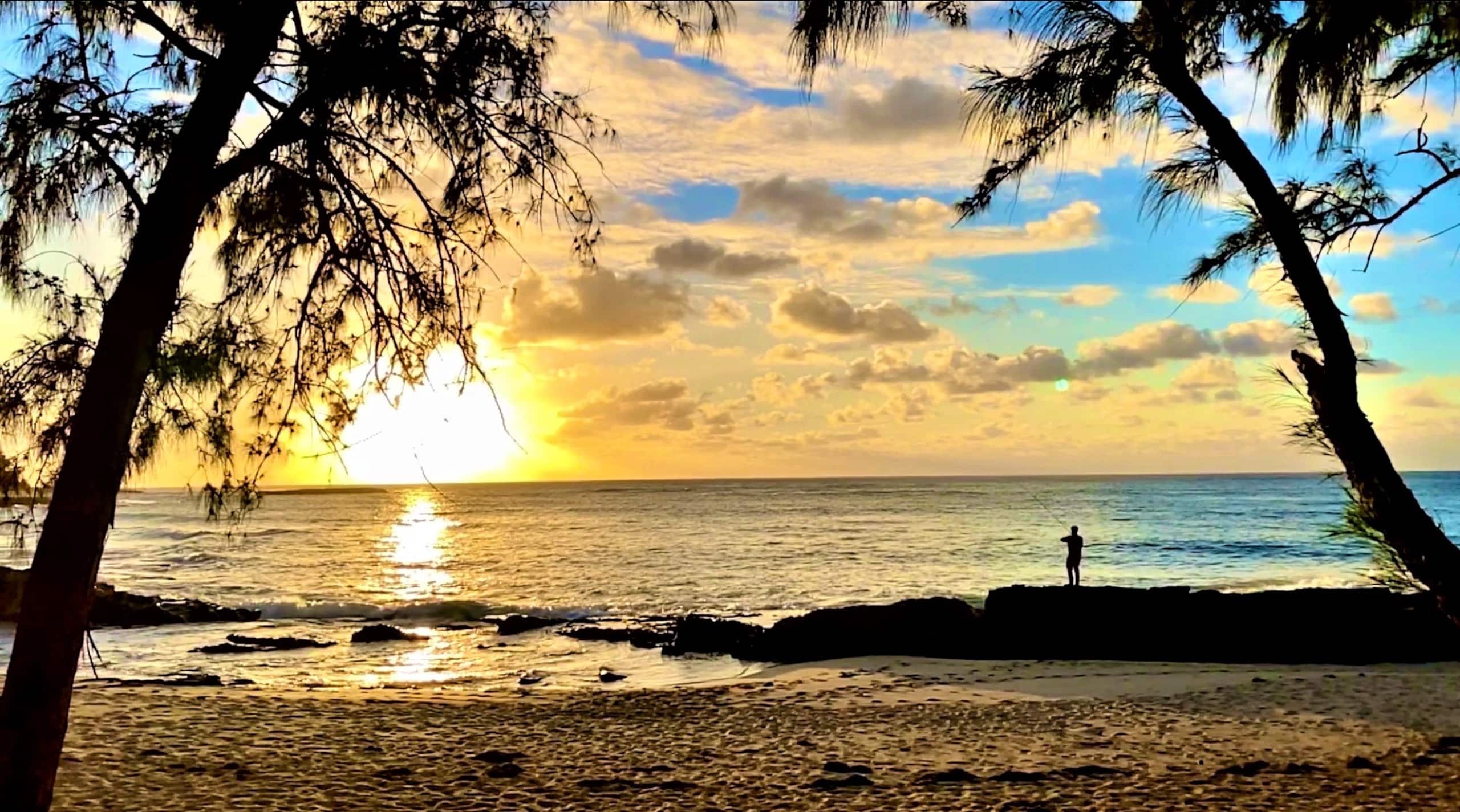 Condo in Kahuku · ★4.91 · 1 bedroom · 2 beds · 1 bath - Image 27