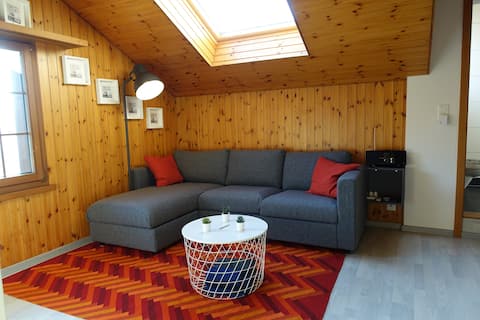 Top performing Airbnb: Quiet beautiful furnished flat in St. Gallen