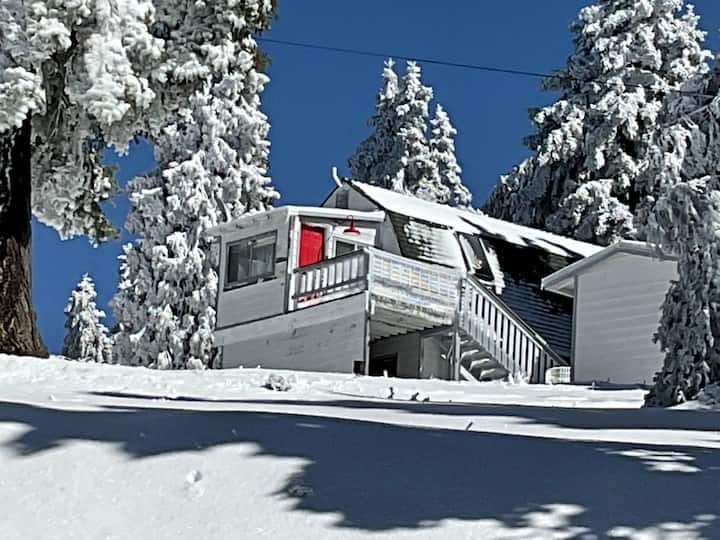 Palomar Mountain Holiday Rentals & Homes California, United States