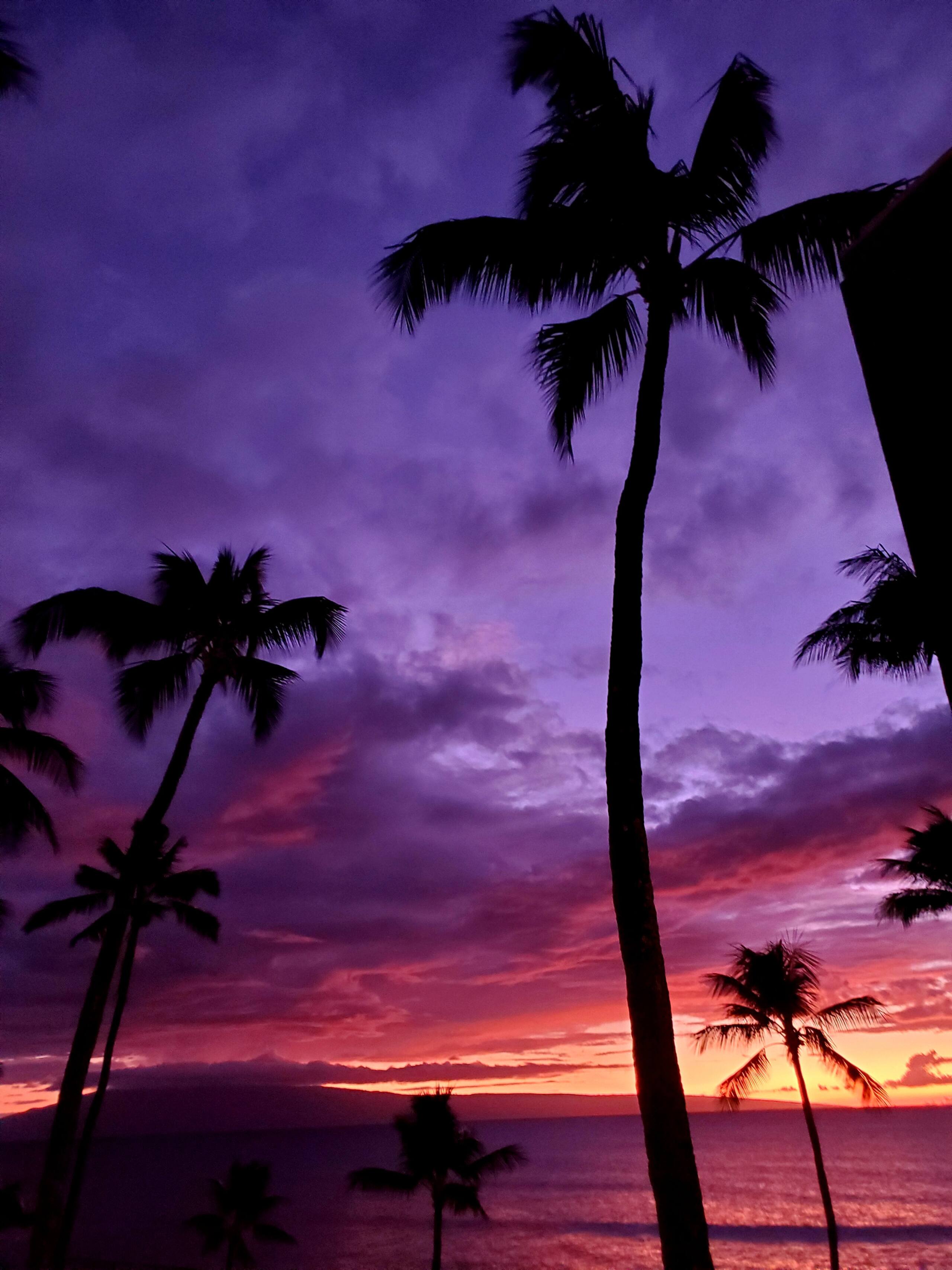 Condo in Lahaina · ★4.96 · 1 bedroom · 2 beds · 1 private bath - Image 53