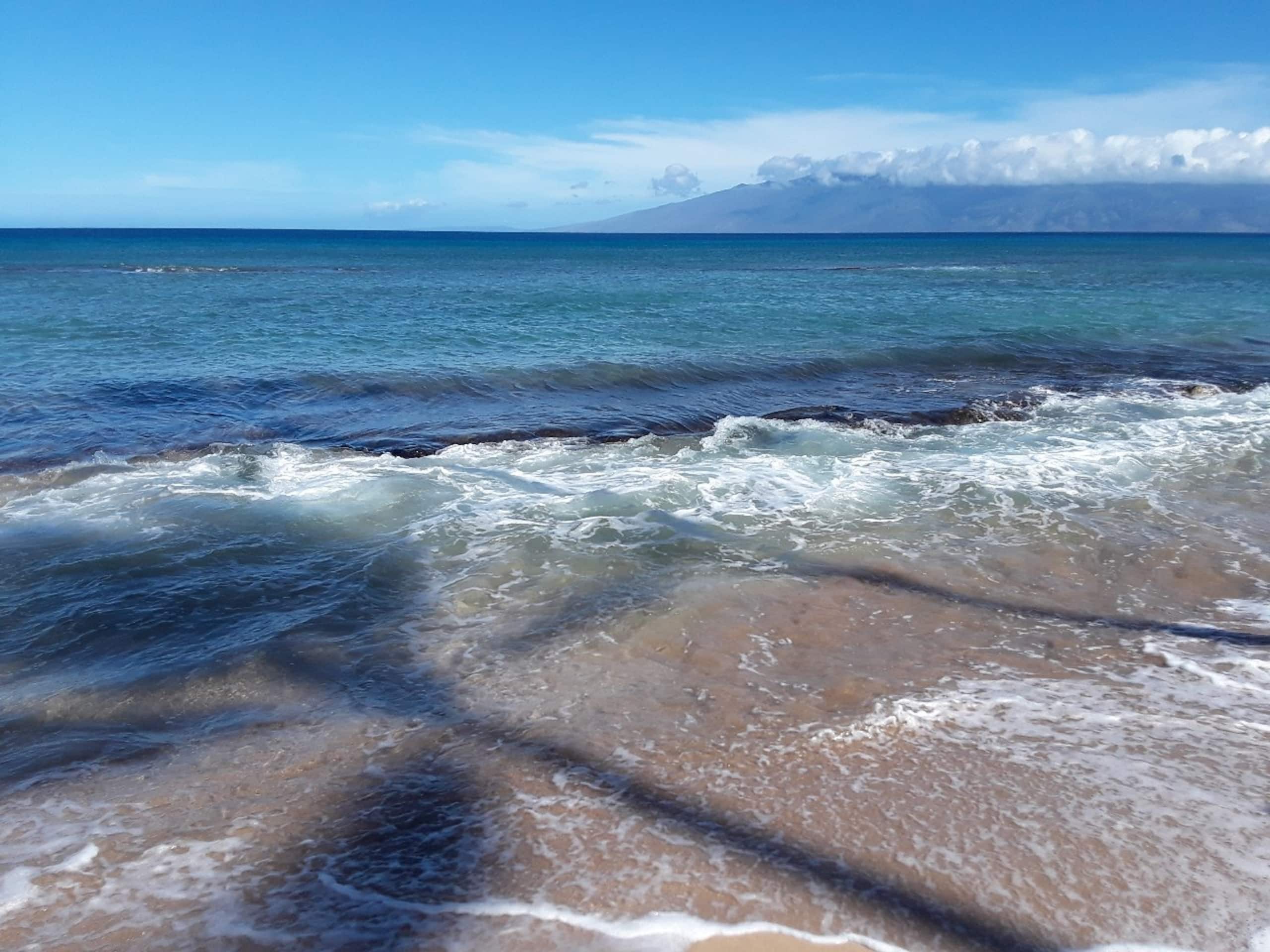 Condo in Lahaina · ★4.96 · 1 bedroom · 2 beds · 1 private bath - Image 29