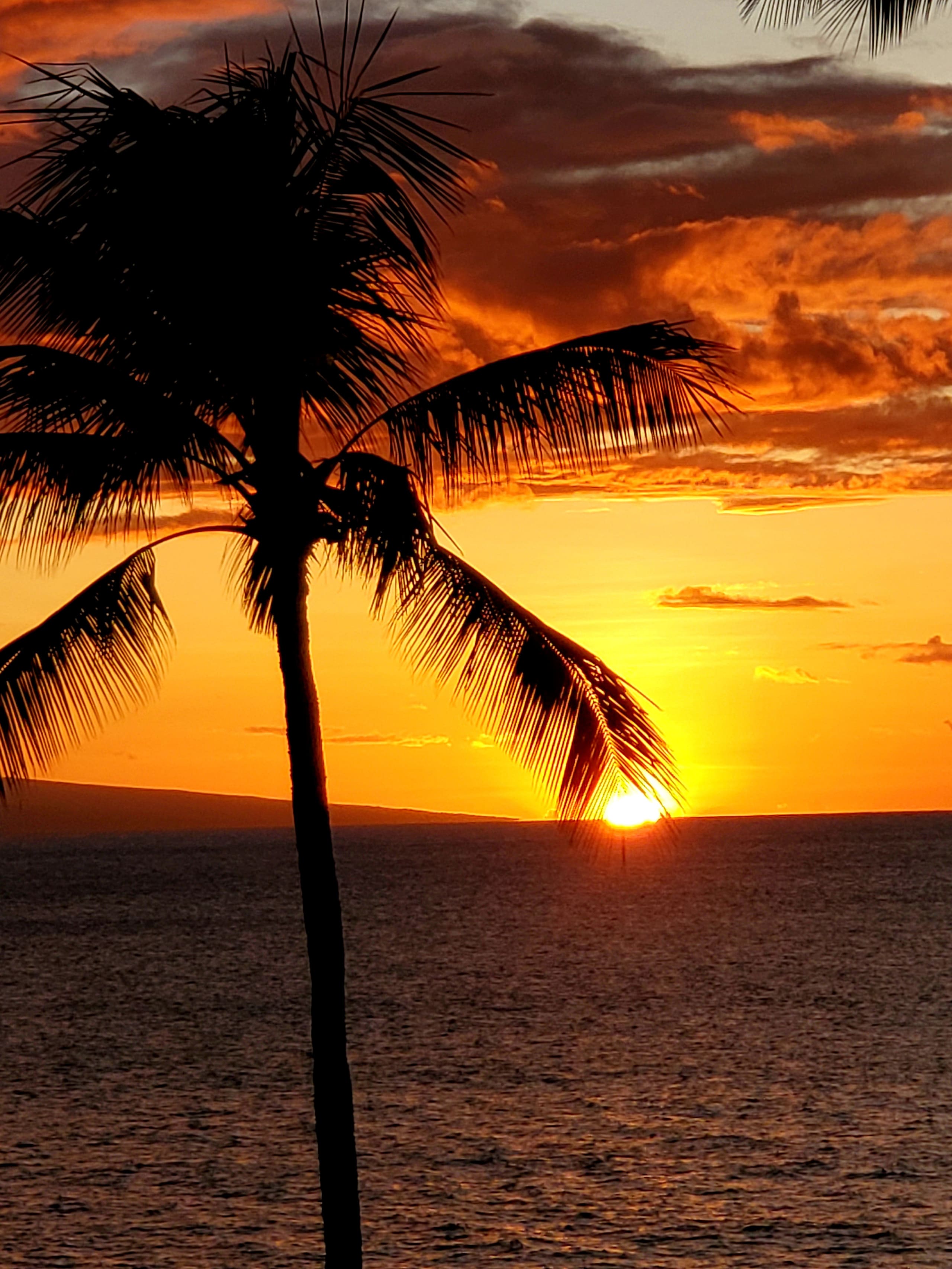 Condo in Lahaina · ★4.96 · 1 bedroom · 2 beds · 1 private bath - Image 52