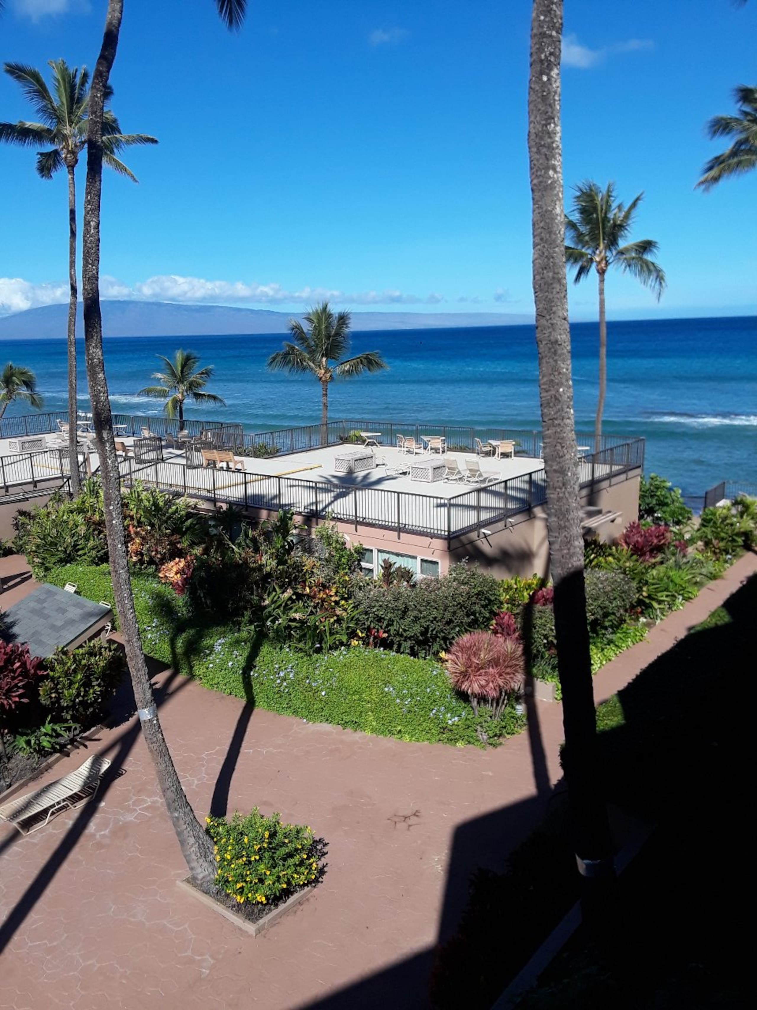 Condo in Lahaina · ★4.96 · 1 bedroom · 2 beds · 1 private bath - Image 28