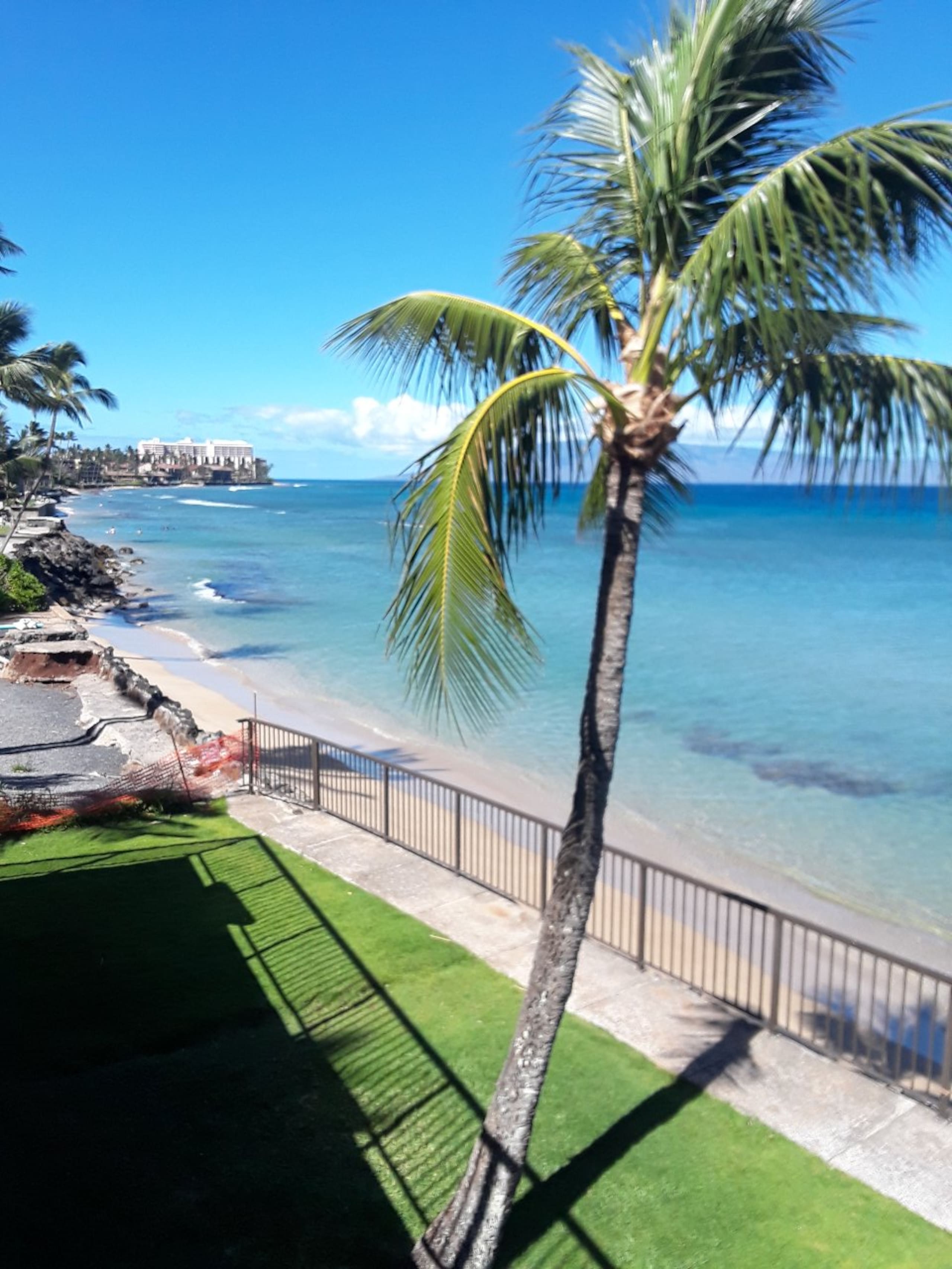 Condo in Lahaina · ★4.96 · 1 bedroom · 2 beds · 1 private bath - Image 51
