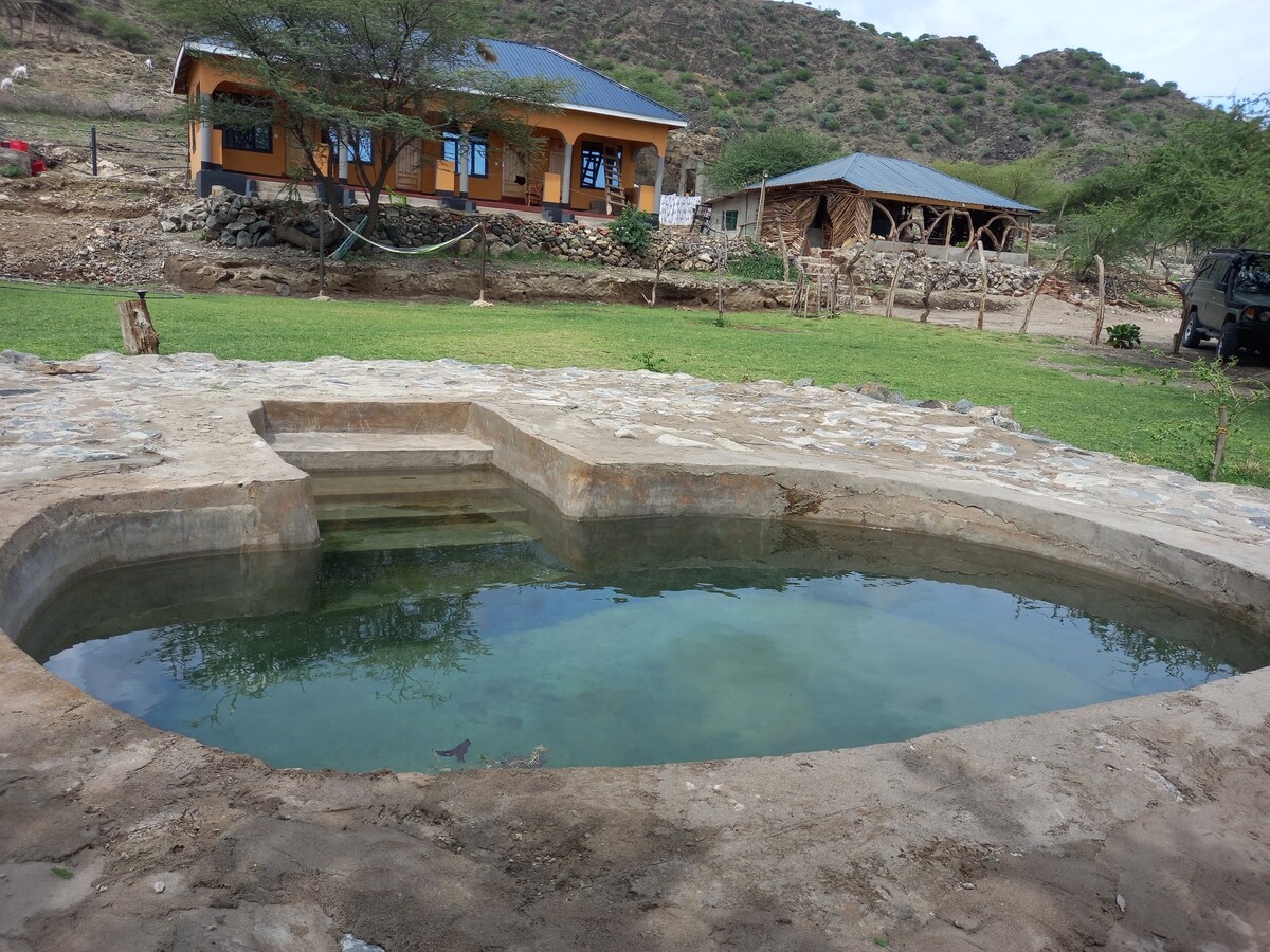 A natural stone pool is positioned in a grassy area, featuring a gradual entrance with two shallow steps. Behind the pool, a spacious guesthouse with a roofed porch is visible, set against a backdrop of hills and a rustic structure.