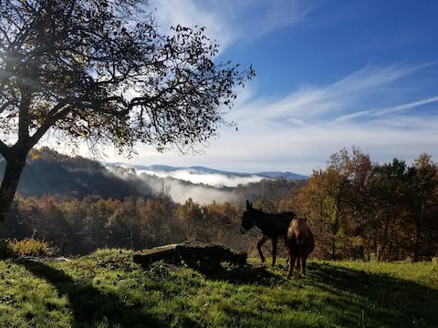 Gîte de Marioune in Mas d'Azil with view / 8 people