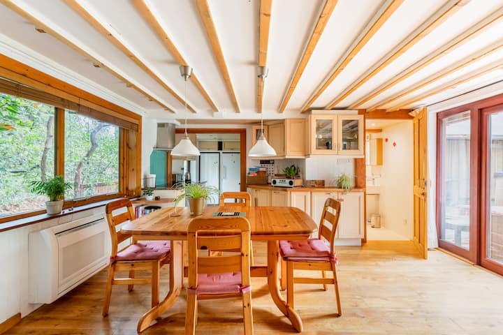 Ringwood Forest Cabin photo 2