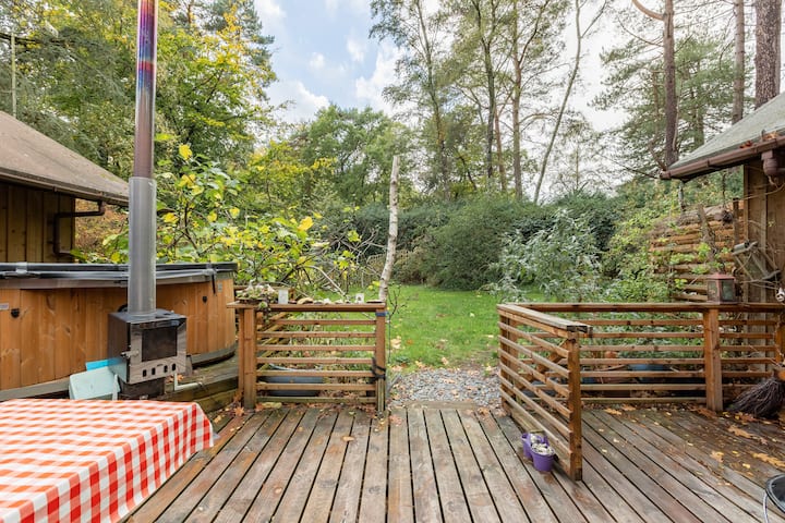 Ringwood Forest Cabin photo 5