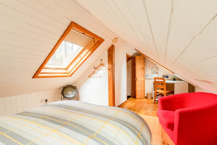 Ringwood Forest Cabin photo 4