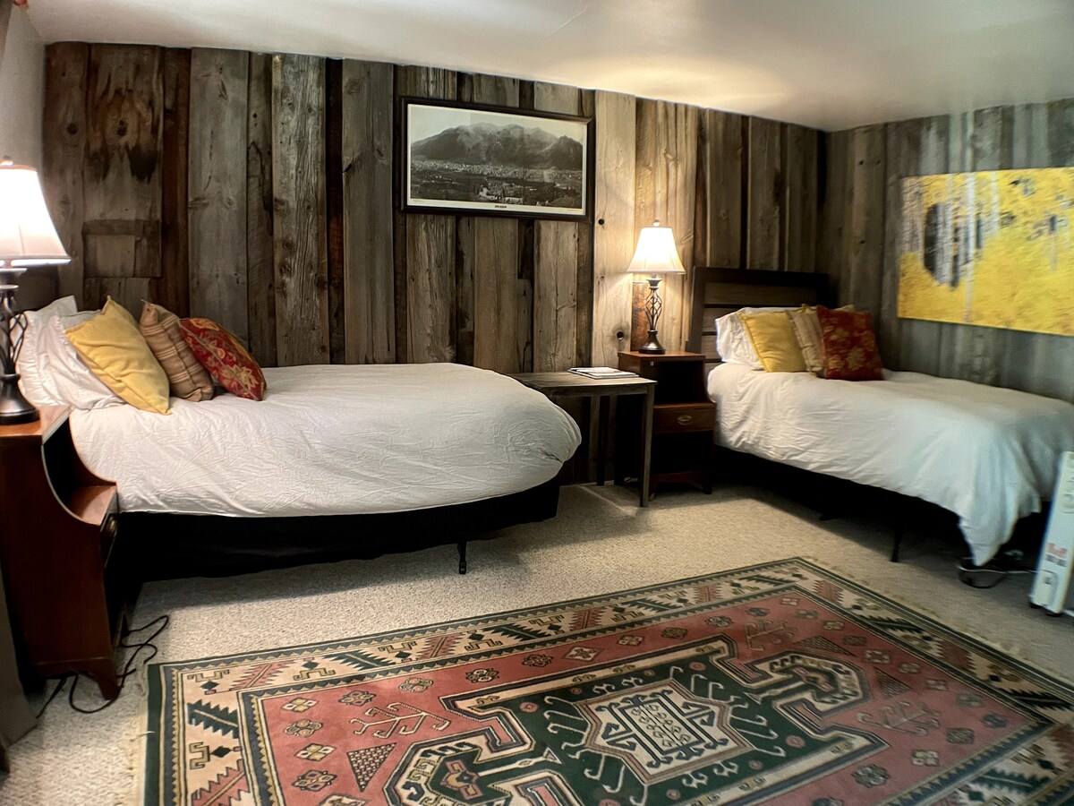 Lower level twin bedroom