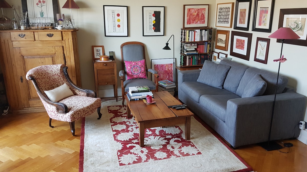 Successful Airbnb property: Charm: close to Management School, Orangery, EU Inst. in Orangerie Conseil Des Xv