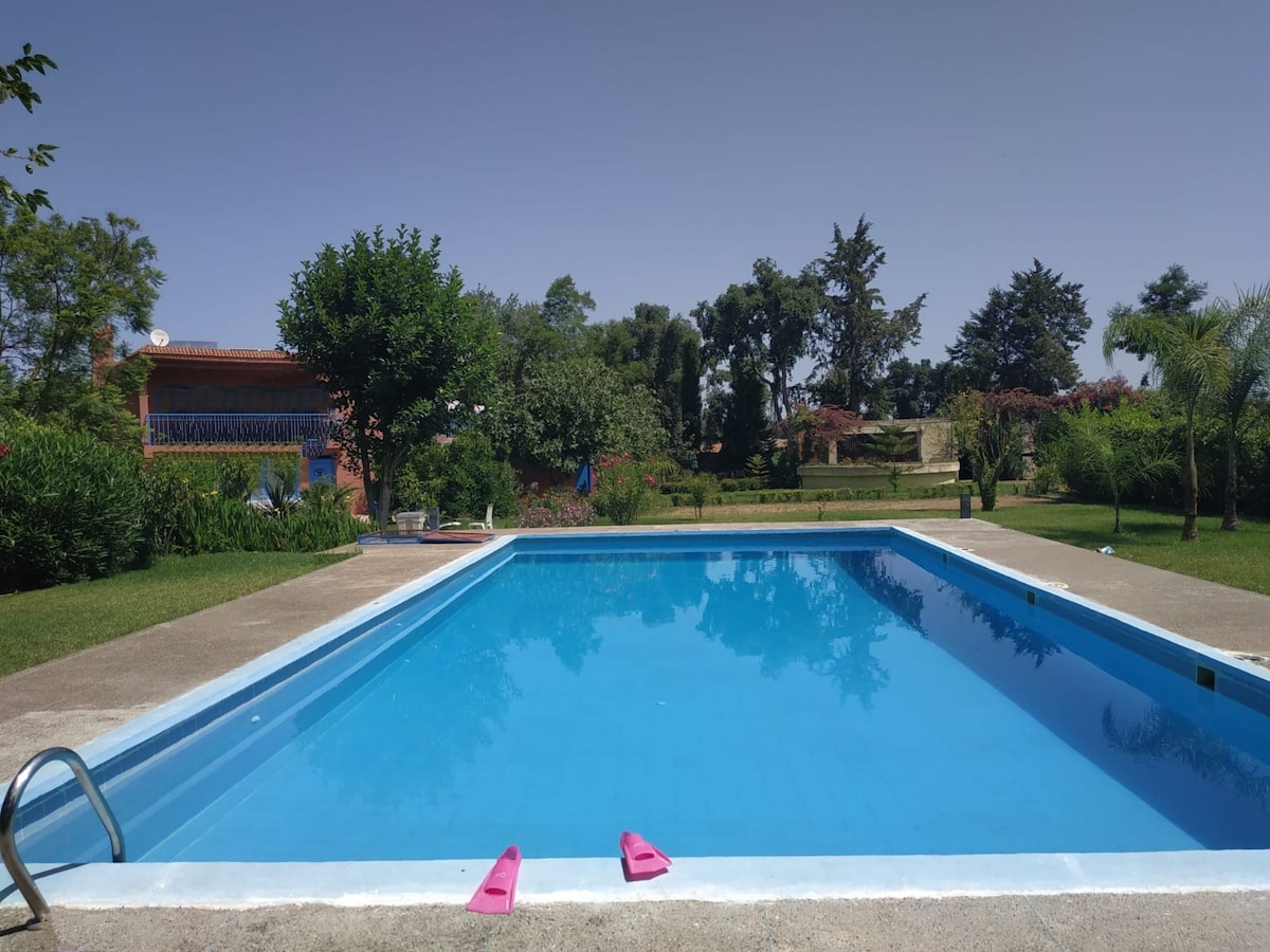 A swimming pool is centered in the image, showcasing clear blue water. Surrounding greenery includes trees and shrubs, contributing to a serene outdoor setting. The pool deck features a ladder on one side and floats resting on the bottom, inviting relaxation and leisurely moments.