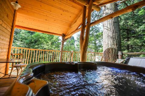 The Redwood Cabin