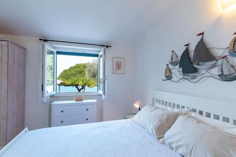 The terrace overlooking the sea: lemon grove