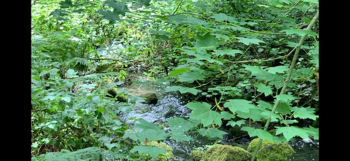 Sasquatch's Tiny Tree Home On Bear's Creek - Portland, OR