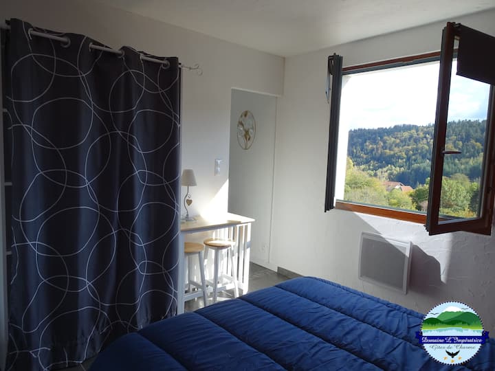 Ოთახი ორადგილიანი საწოლით, საგარდერობო ოთახით და მაგიდით