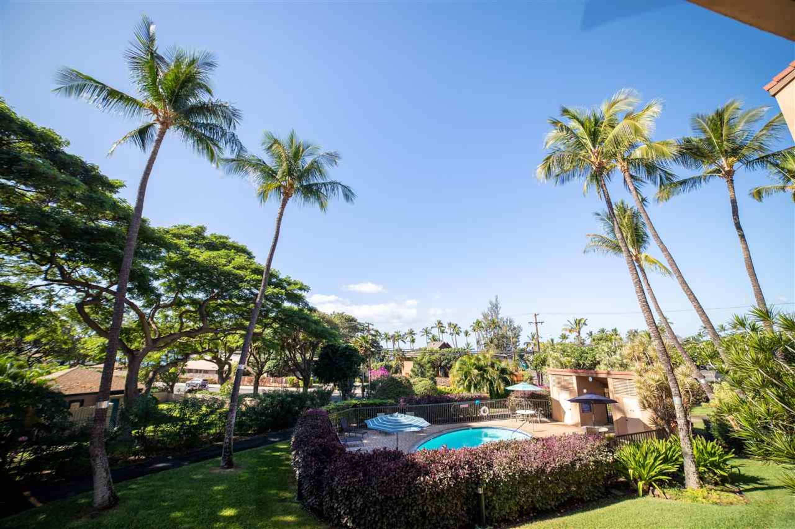 Condo in Kihei · ★4.82 · 1 bedroom · 1 bed · 1 private bath - Image 16