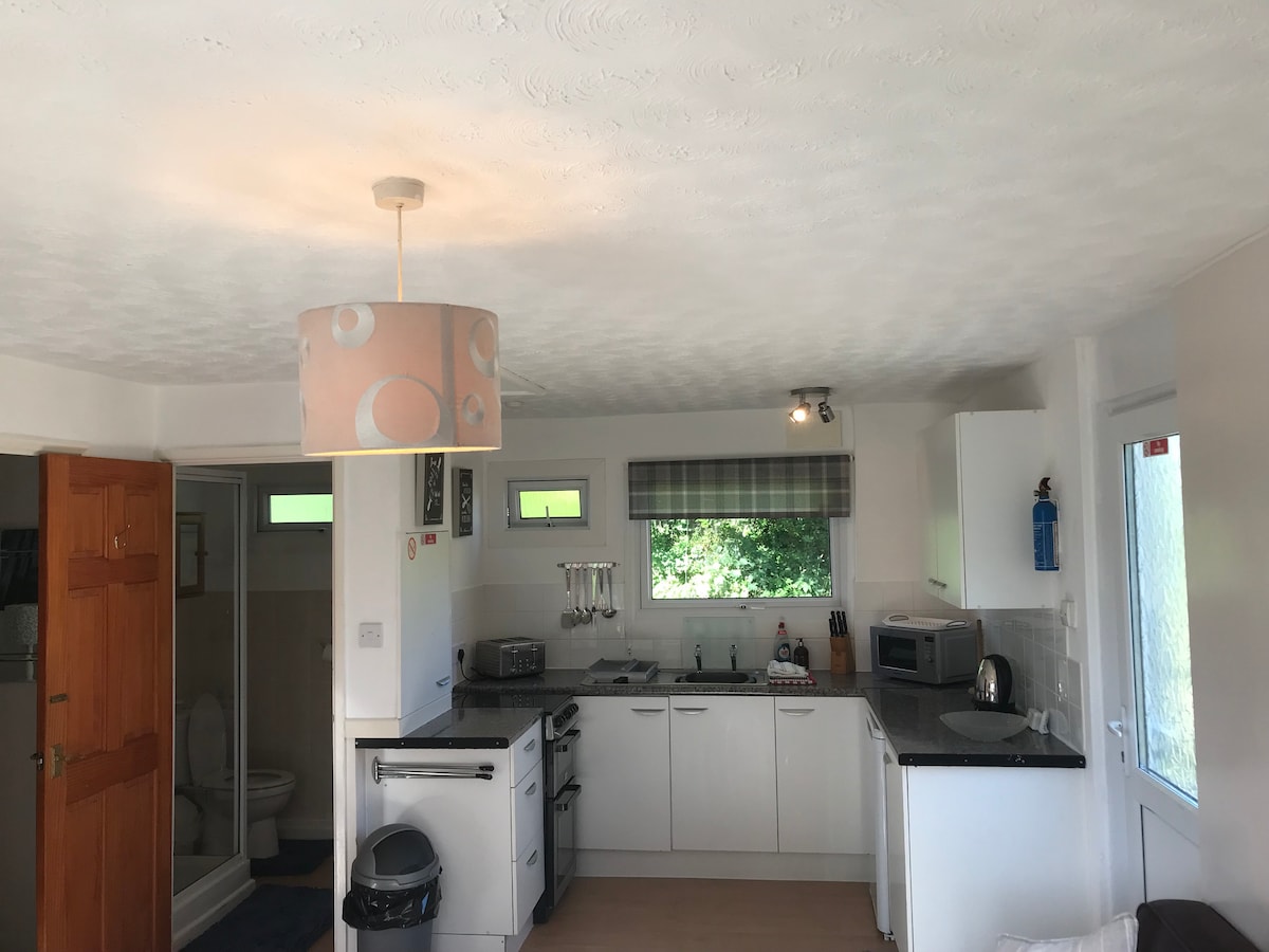 A well-equipped kitchenette features modern white cabinetry and a dark countertop. Stainless steel appliances are present, including a microwave and kettle. Natural light enters through two windows adorned with checkered and solid color treatments, enhancing the functional layout of the space.