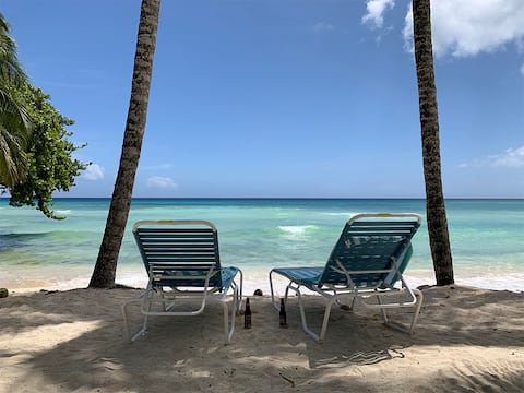 Beachfront Apartment in Paradise: Turtles Nest D
