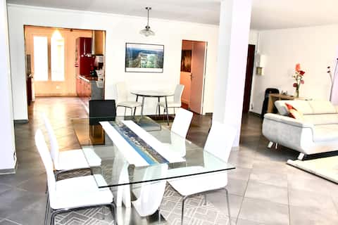 Large Grenoble charming apartment