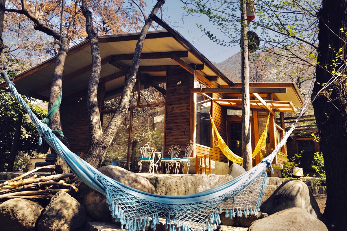 A charming wooden house is nestled among trees, with large glass windows providing ample natural light. Two hammocks are hung in the foreground, inviting relaxation. A small outdoor seating area with two chairs is visible, completing the serene outdoor setting.