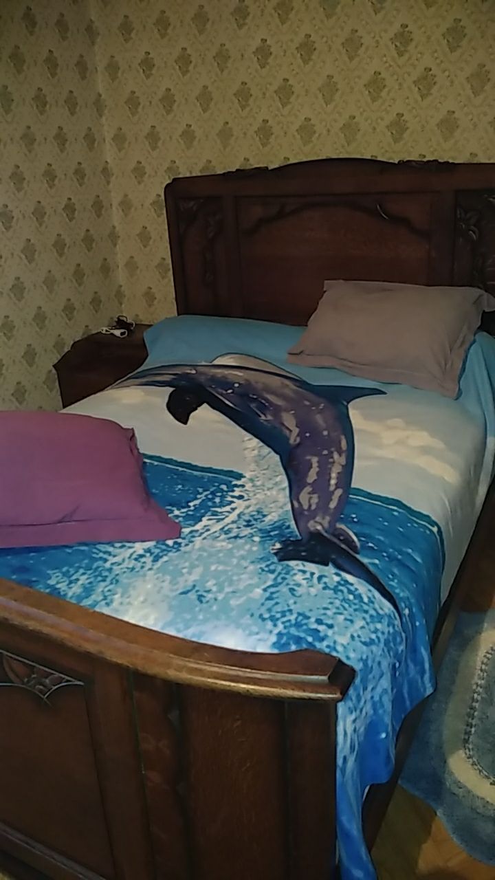 A wooden bed features a colorful blanket depicting a dolphin jumping from the ocean. Two soft pillows rest against the headboard, with a bedside table and decorative items visible beside the bed.