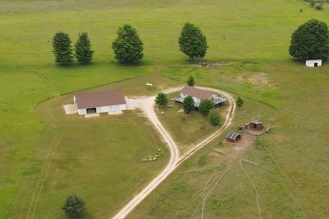 The House on the Hill