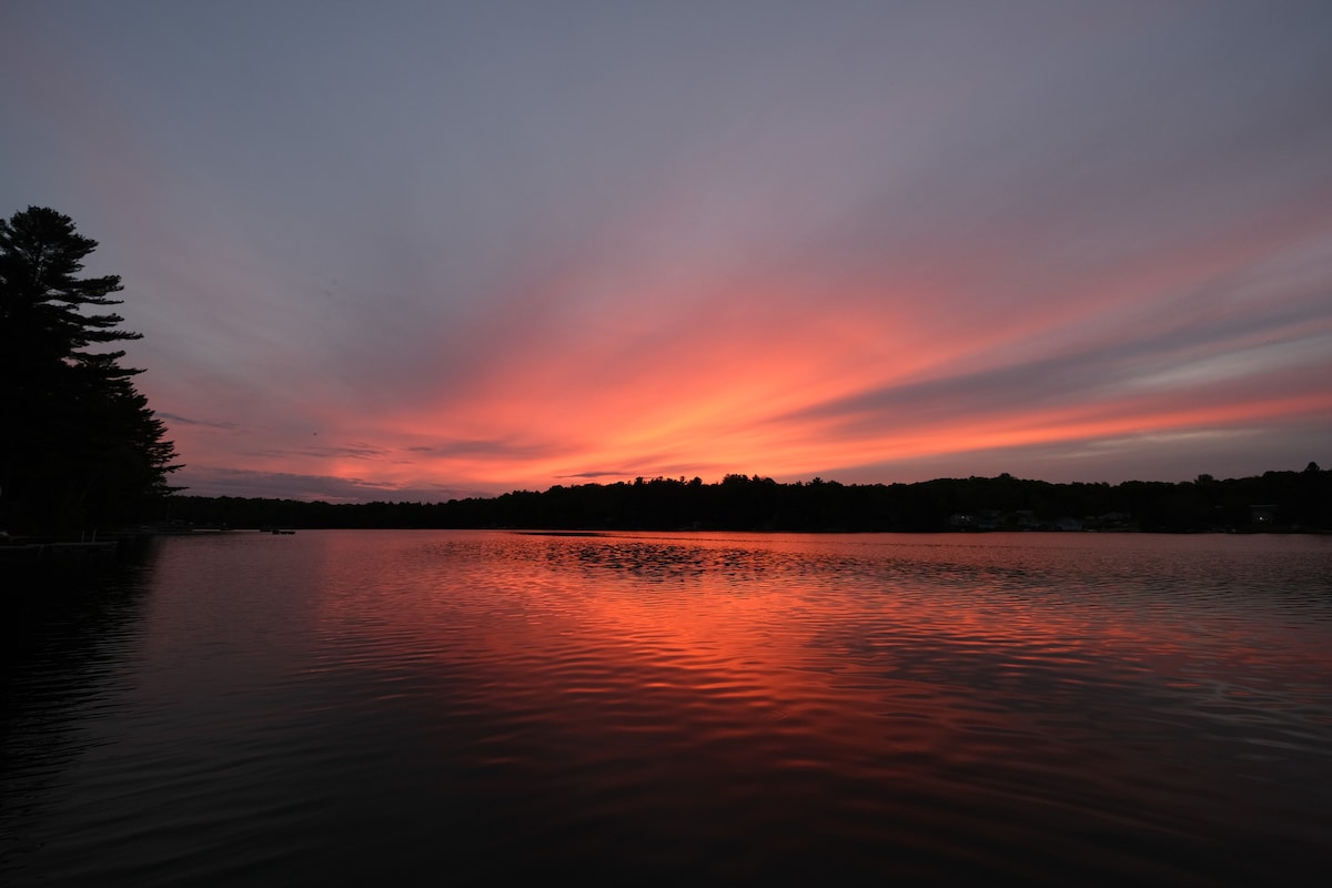 Shoreline view with trees and calm water