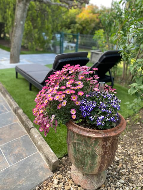 Gîte du flamant gris, heated pool