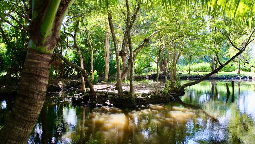 Ranch life in the City- Heated Pool-Pond-1 acre gallery image 4
