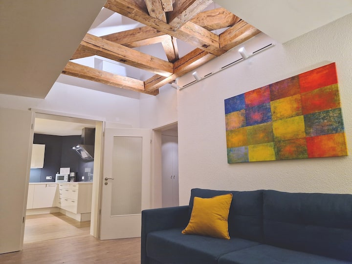 Island Apartment With Roof Terrace And Lake View - Bregenz