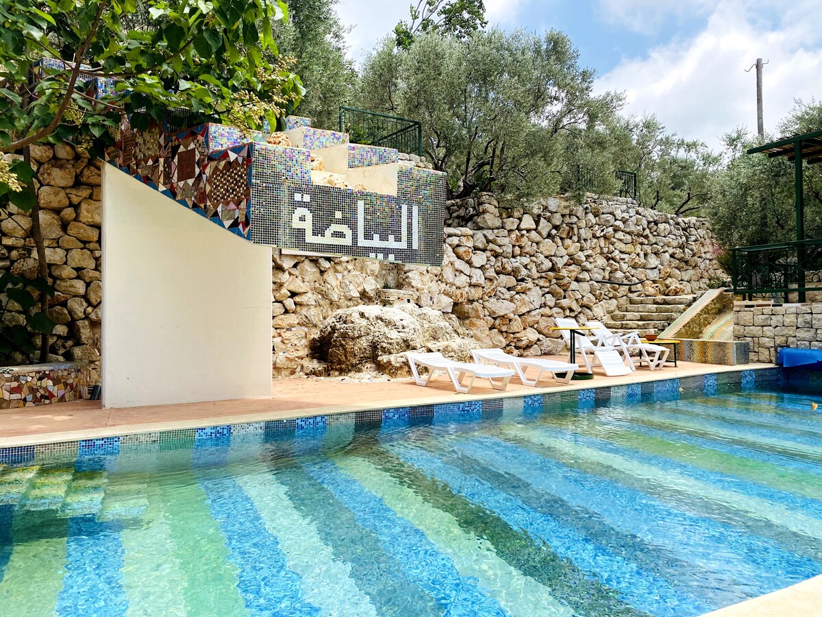 A serene swimming pool is framed by a natural stone wall, featuring colorful mosaic designs. Sun loungers are positioned around the pool, which displays gently flowing water in vibrant stripes. Lush greenery surrounds the area, enhancing the tranquil setting.