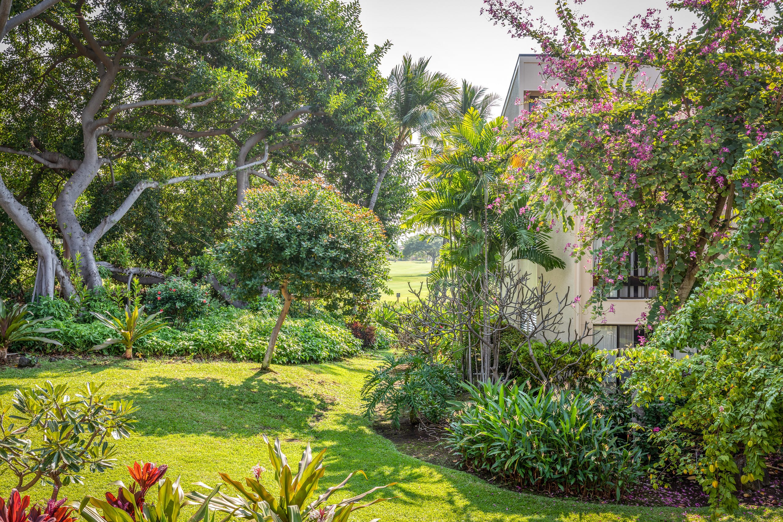 Condo in Kailua-Kona · ★4.8 · 2 bedrooms · 3 beds · 2 private baths - Image 23