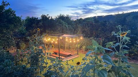 Aewol Dokchae Stone Wall House [Osorok] # Under a yellow tangerine tree_Four-season outdoor hot water foot bath # Spacious indoor space