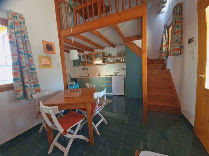 Всекидневна зона