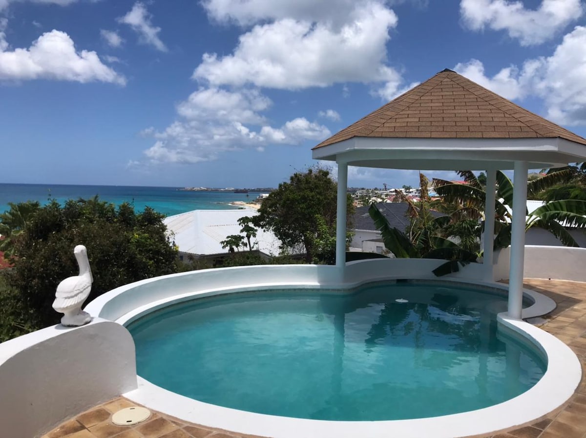 A private pool is framed by a circular terrace, surrounded by lush greenery and palm trees. A gazebo with a thatched roof offers shade, while the ocean view extends beyond the horizon, highlighted by a clear blue sky with scattered clouds.